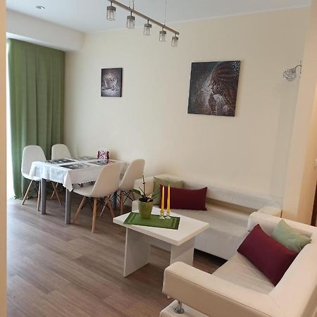 Nelli Apartamentai ドルスキニンカイ エクステリア 写真