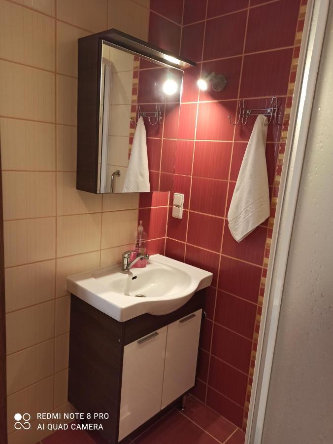 Nelli Apartamentai ドルスキニンカイ エクステリア 写真