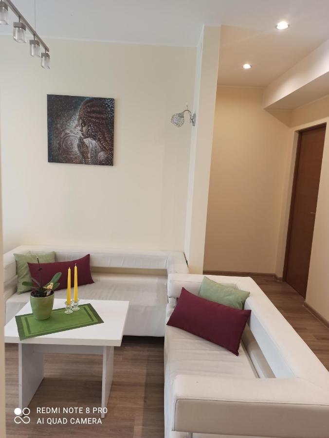 Nelli Apartamentai ドルスキニンカイ エクステリア 写真