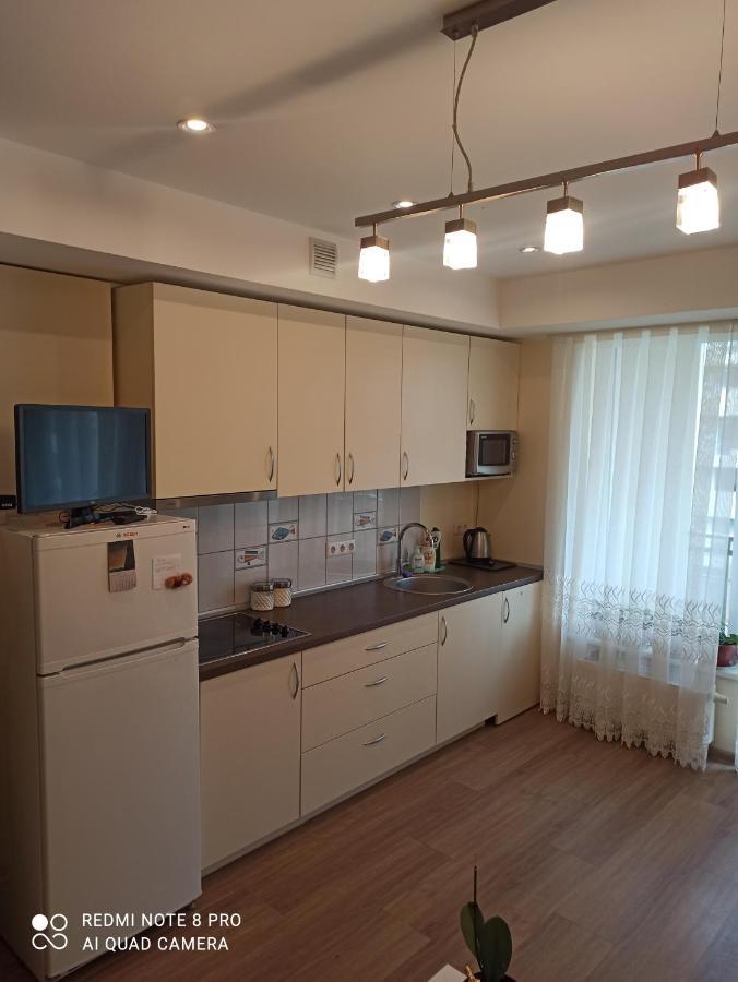 Nelli Apartamentai ドルスキニンカイ エクステリア 写真