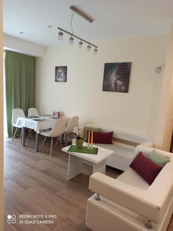 Nelli Apartamentai ドルスキニンカイ エクステリア 写真