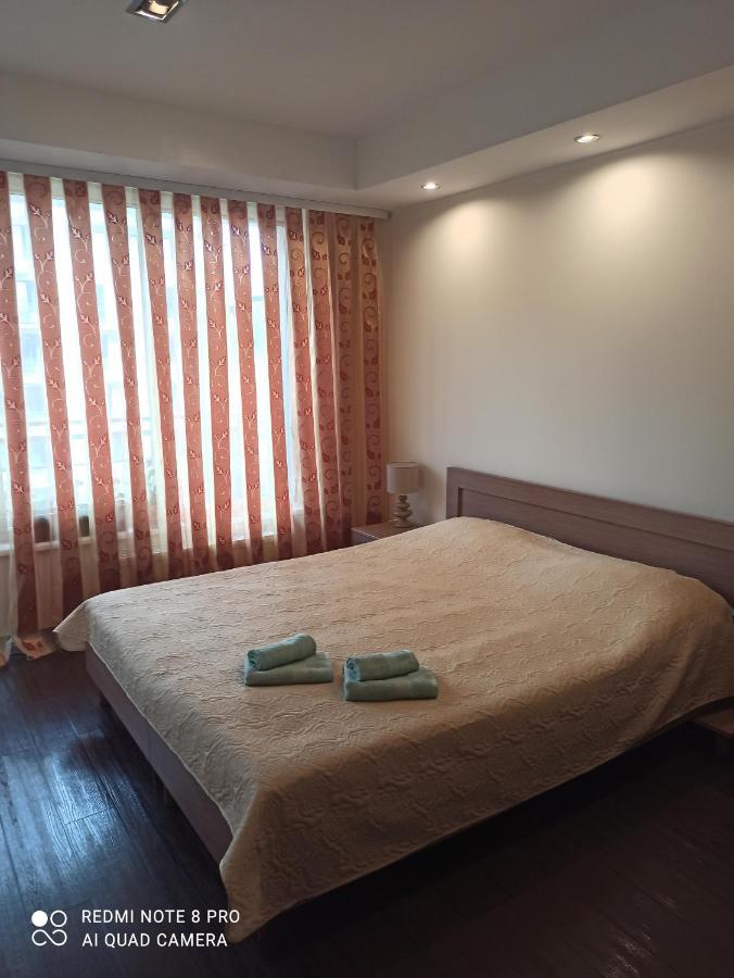 Nelli Apartamentai ドルスキニンカイ エクステリア 写真