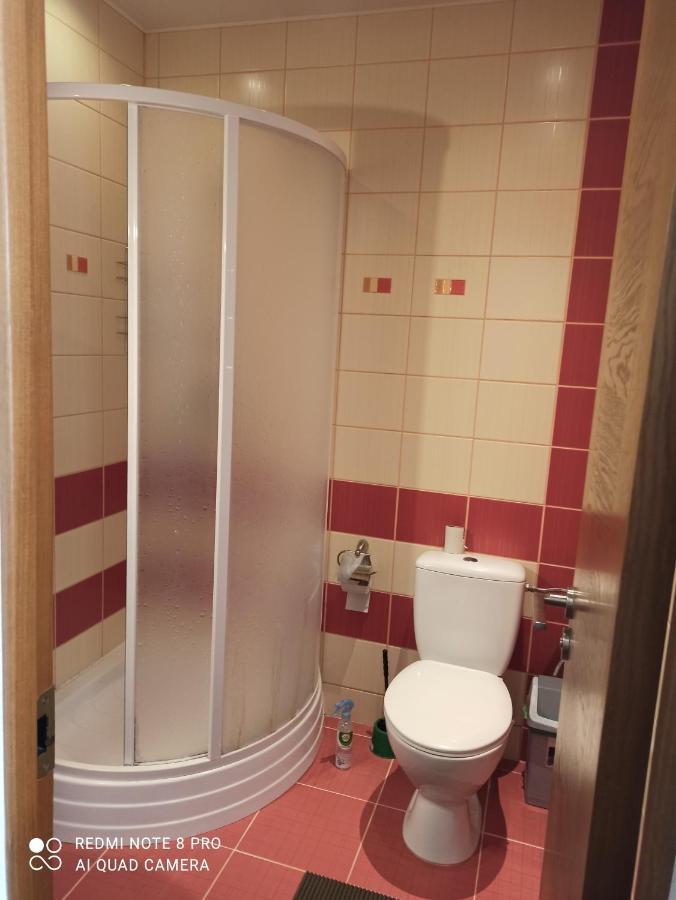 Nelli Apartamentai ドルスキニンカイ エクステリア 写真